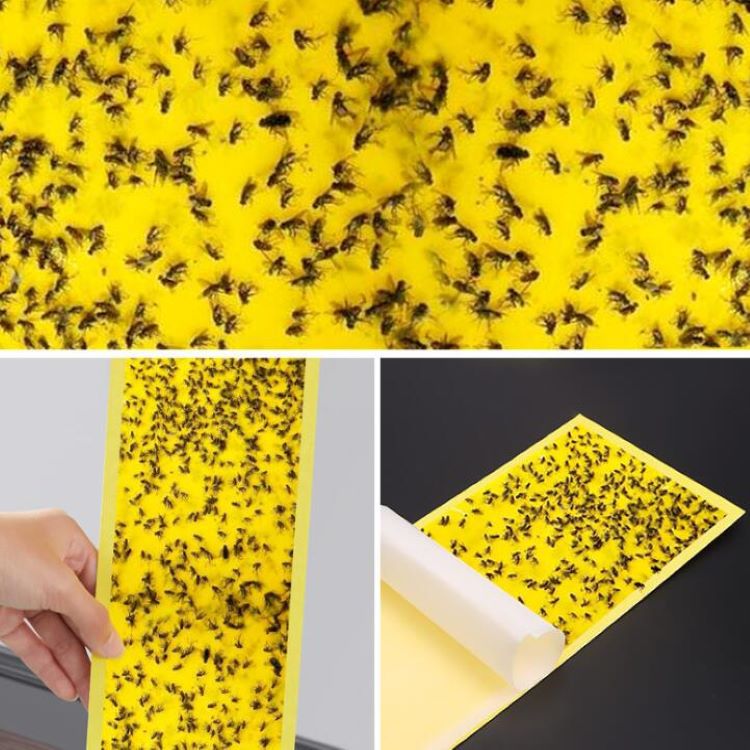 fly trap lamp paper board